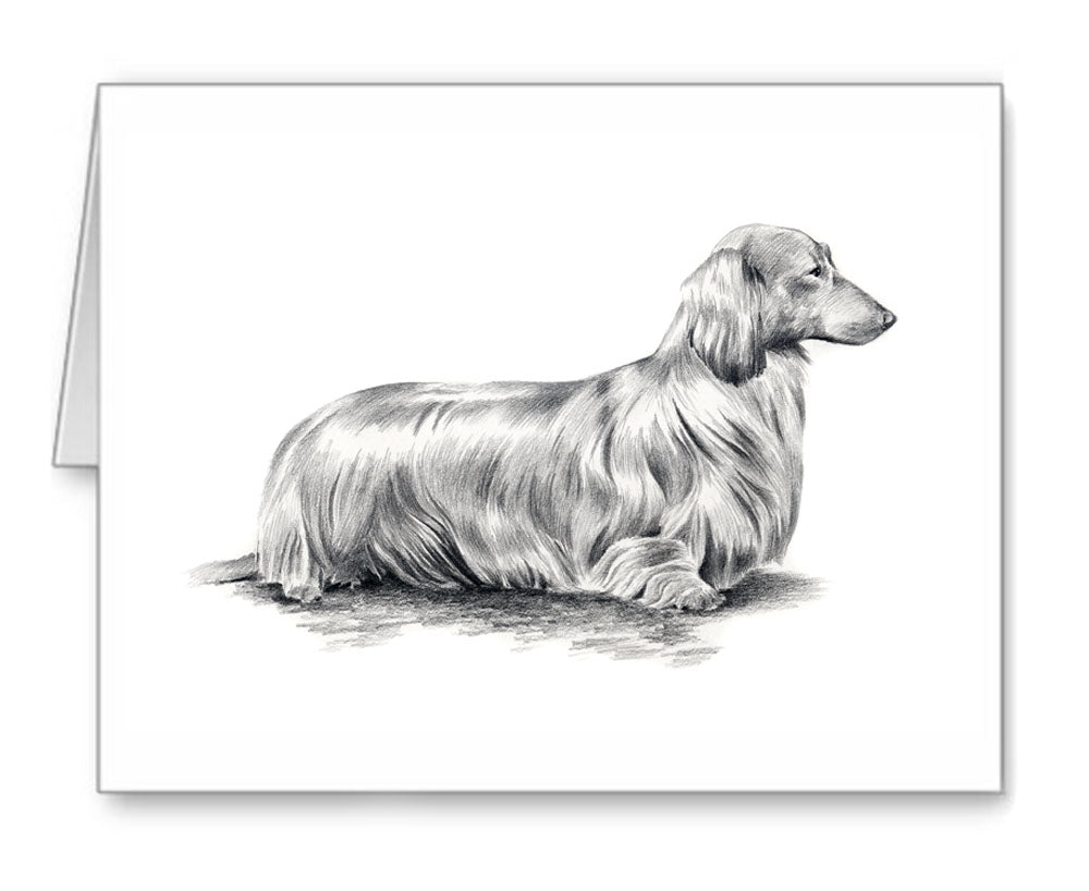 Long Haired Dachshund Pencil Note Card Art by Artist DJ Rogers