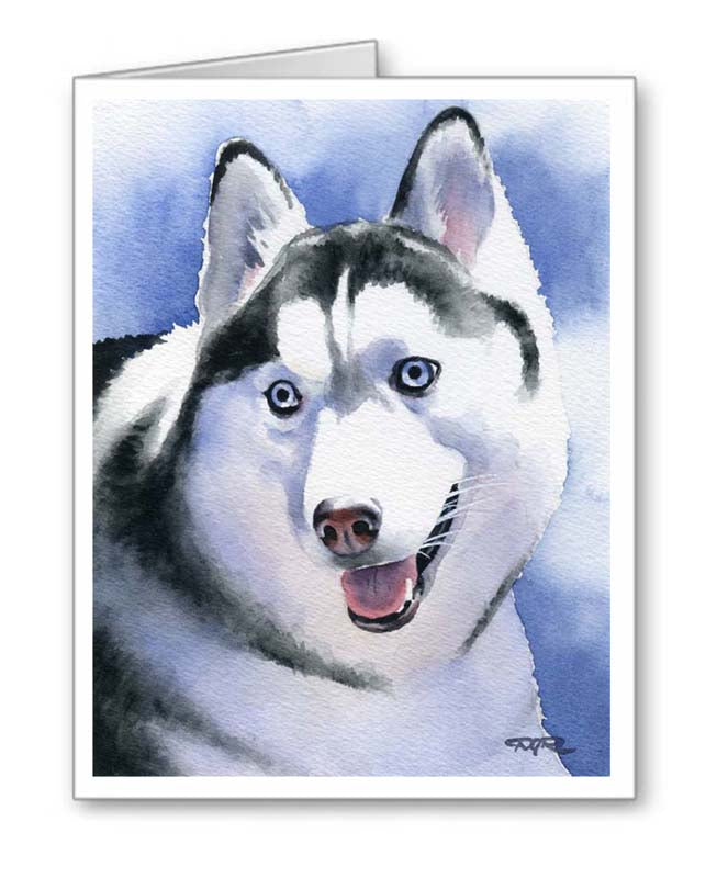 A Siberian Husky portrait print based on a David J Rogers original watercolor