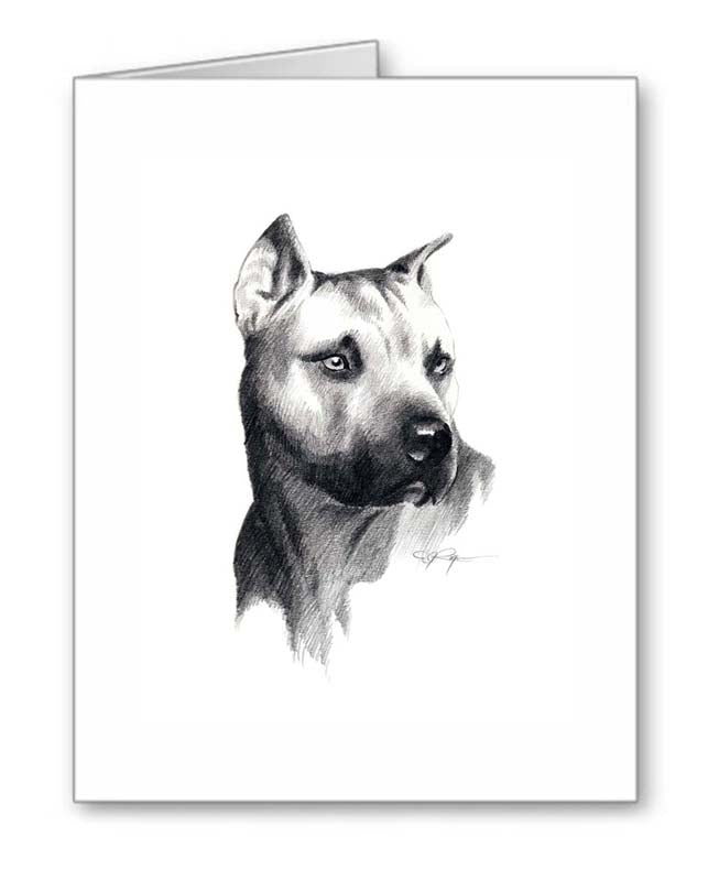 A American Pit Bull Terrier portrait print based on a David J Rogers original watercolor