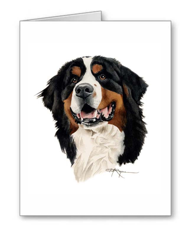 A Bernese Mountain Dog portrait print based on a David J Rogers original watercolor