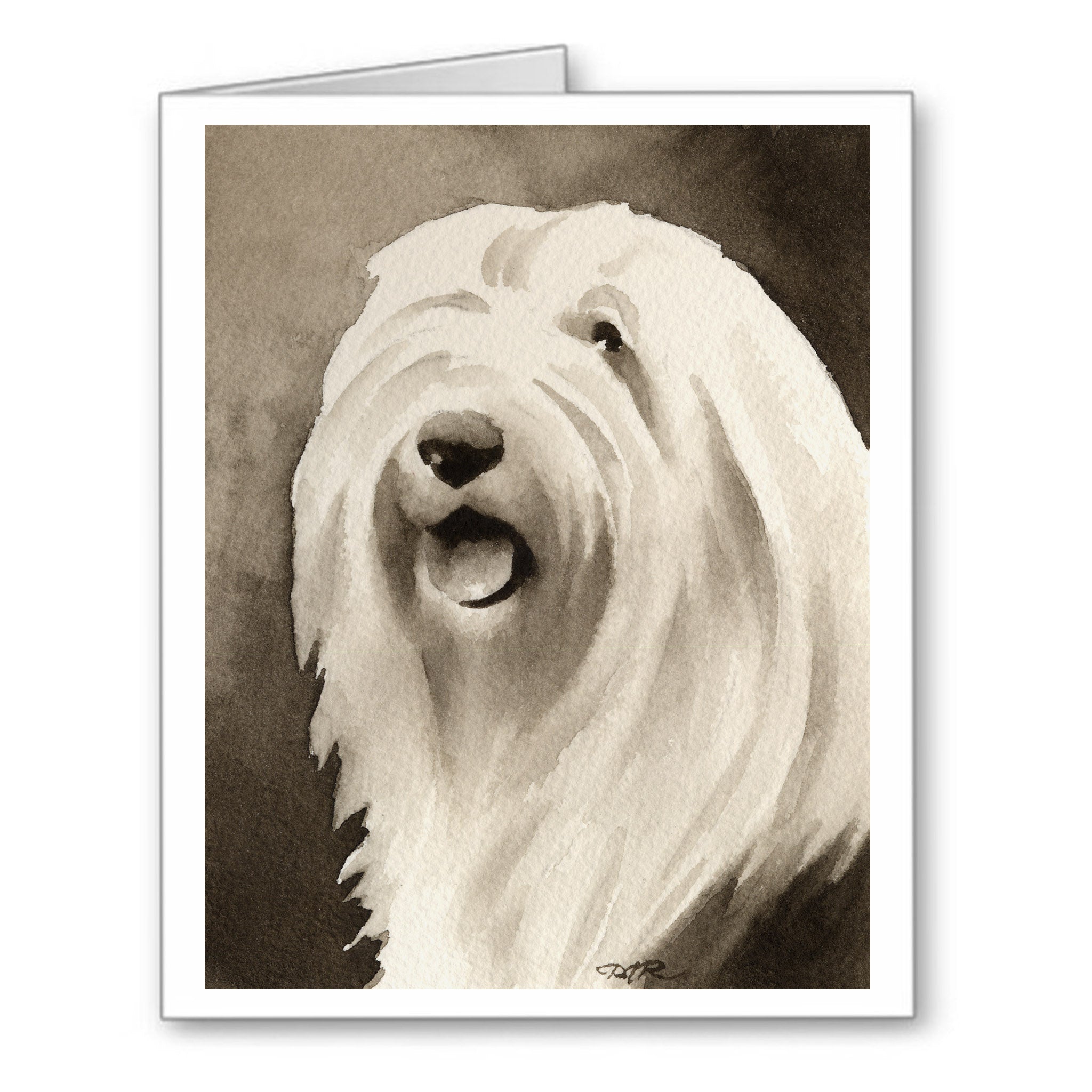Old English Sheepdog Watercolor Note Card Art by Artist DJ Rogers