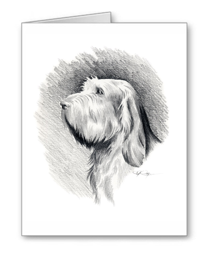 Spinone Italiano Pencil Note Card Art by Artist DJ Rogers