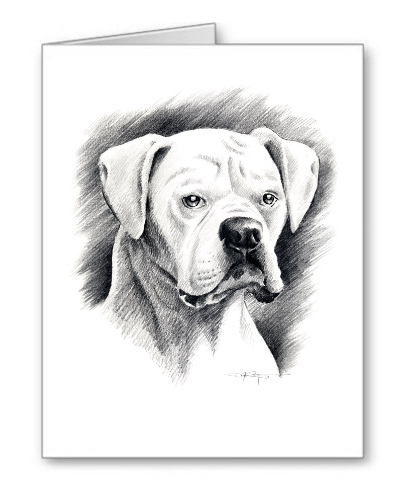 White Boxer Pencil Note Card Art by Artist DJ Rogers