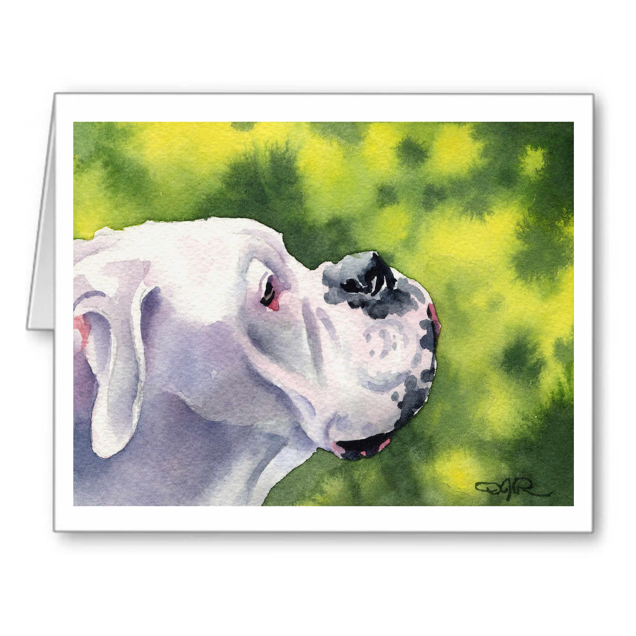 White Boxer Watercolor Note Card Art by Artist DJ Rogers