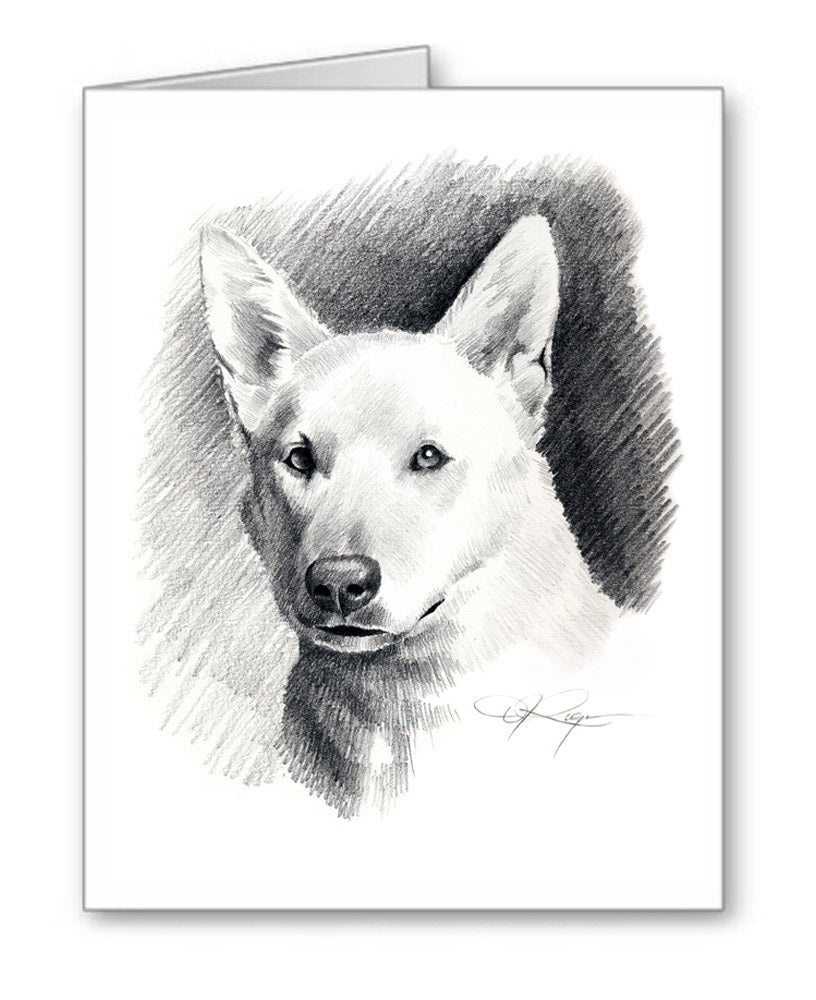White German Shepherd Pencil Note Card Art by Artist DJ Rogers