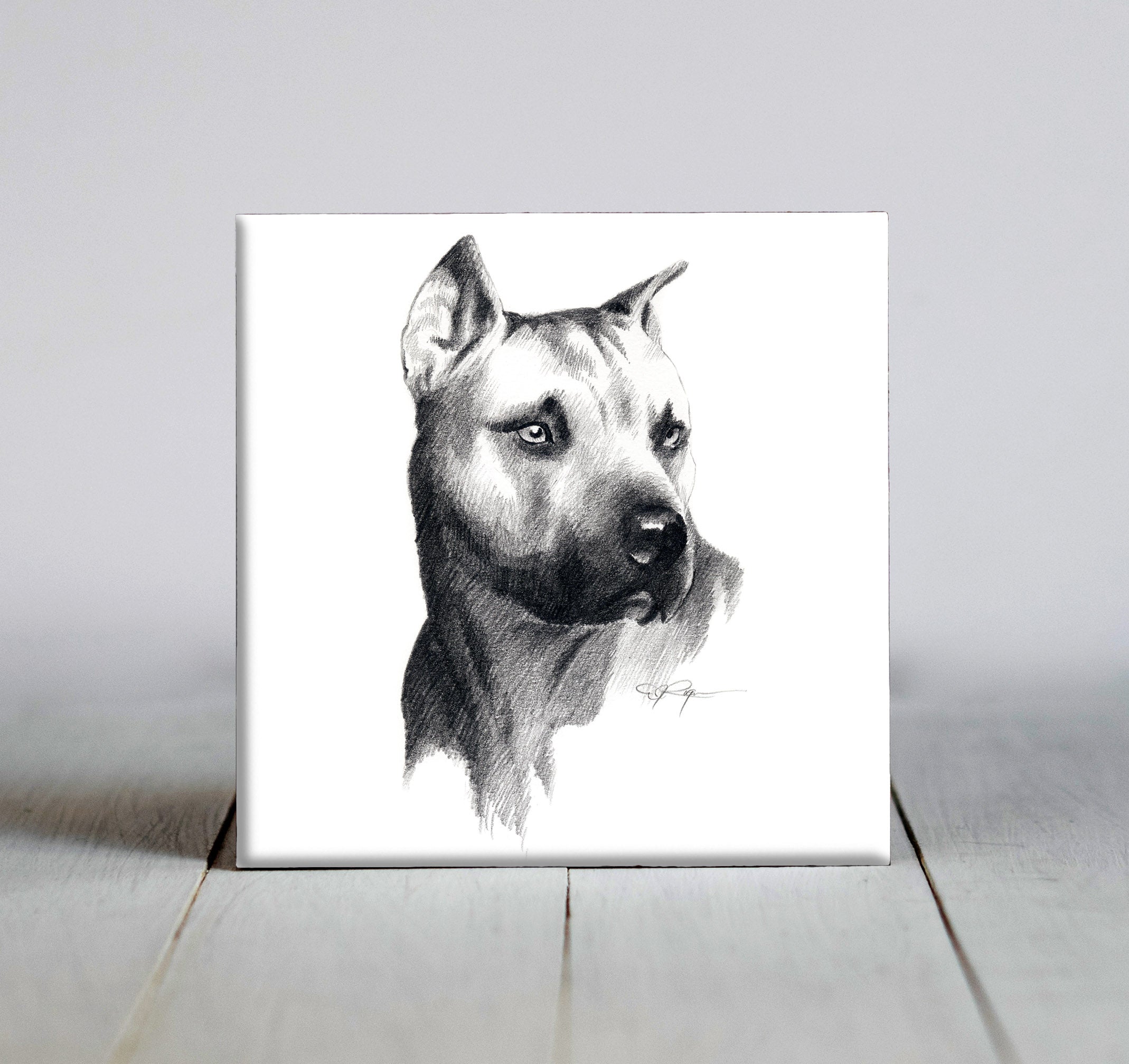 American Pit Bull Terrier Pencil Dog Art Decorative Tile by Artist DJ Rogers