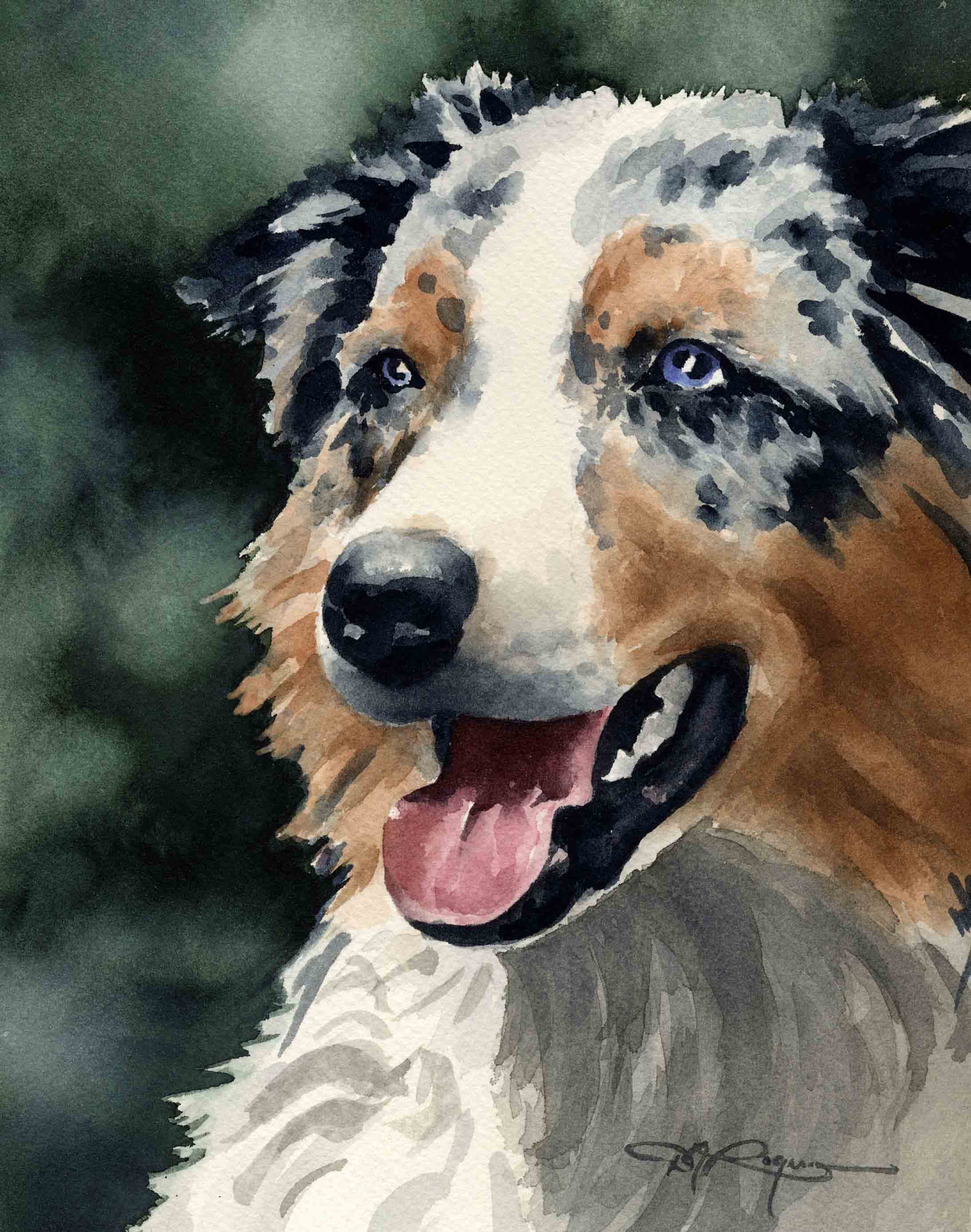 Australian Shepherd Contemporary Watercolor Art Print by Artist DJ Rogers