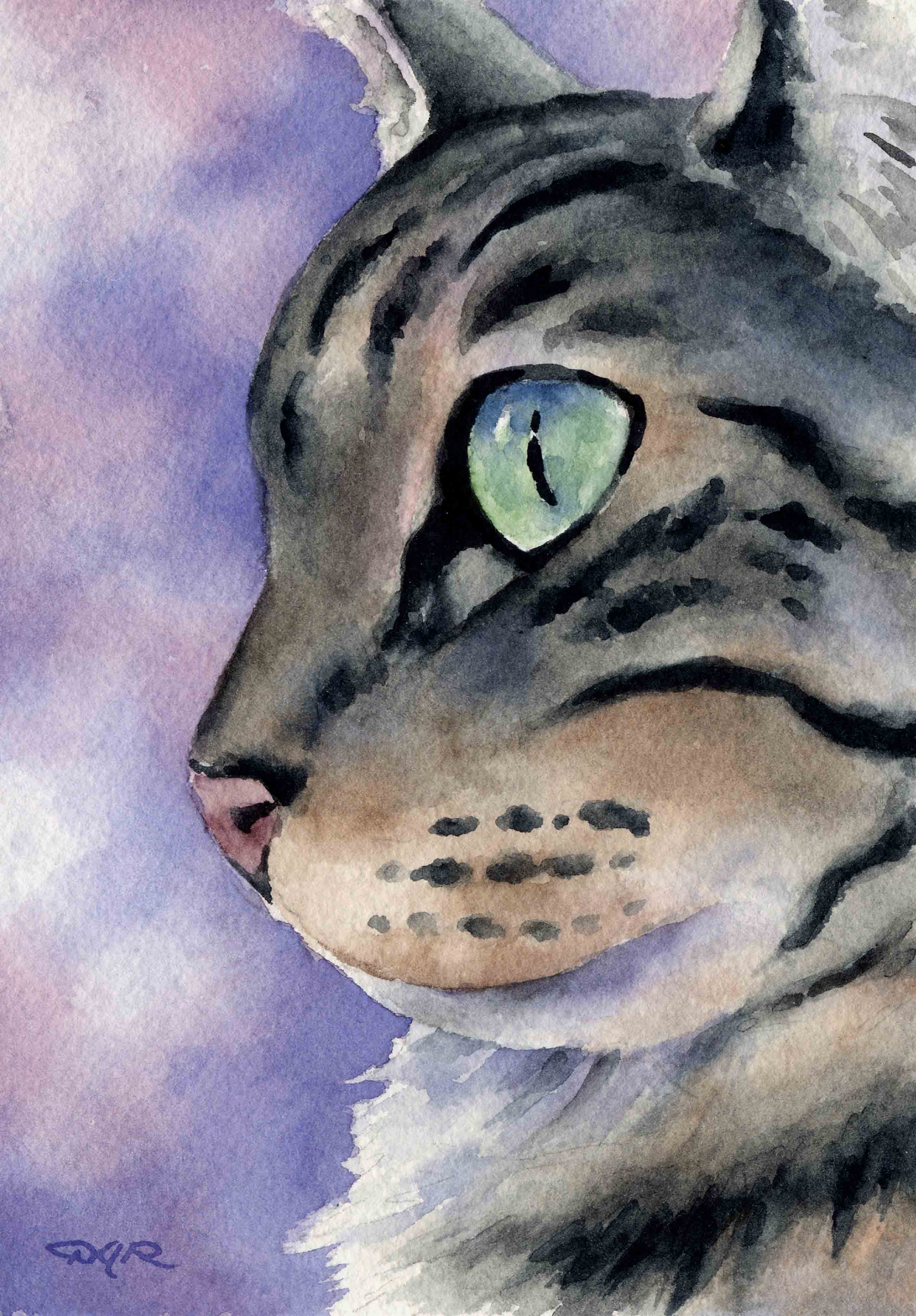 Silver Tabby Cat Contemporary Watercolor Cat Art Print by Artist DJ Rogers
