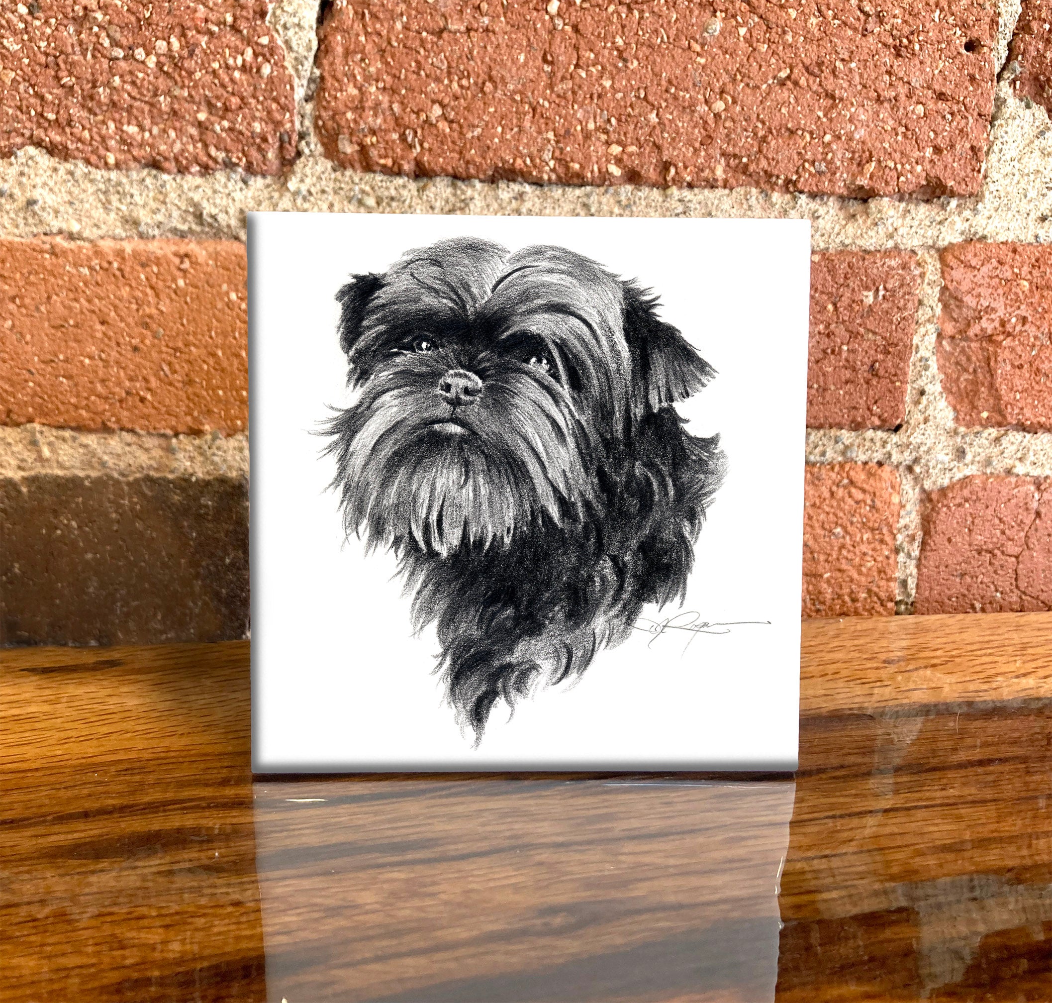 Affenpinscher Pencil Dog Art Decorative Tile by Artist DJ Rogers