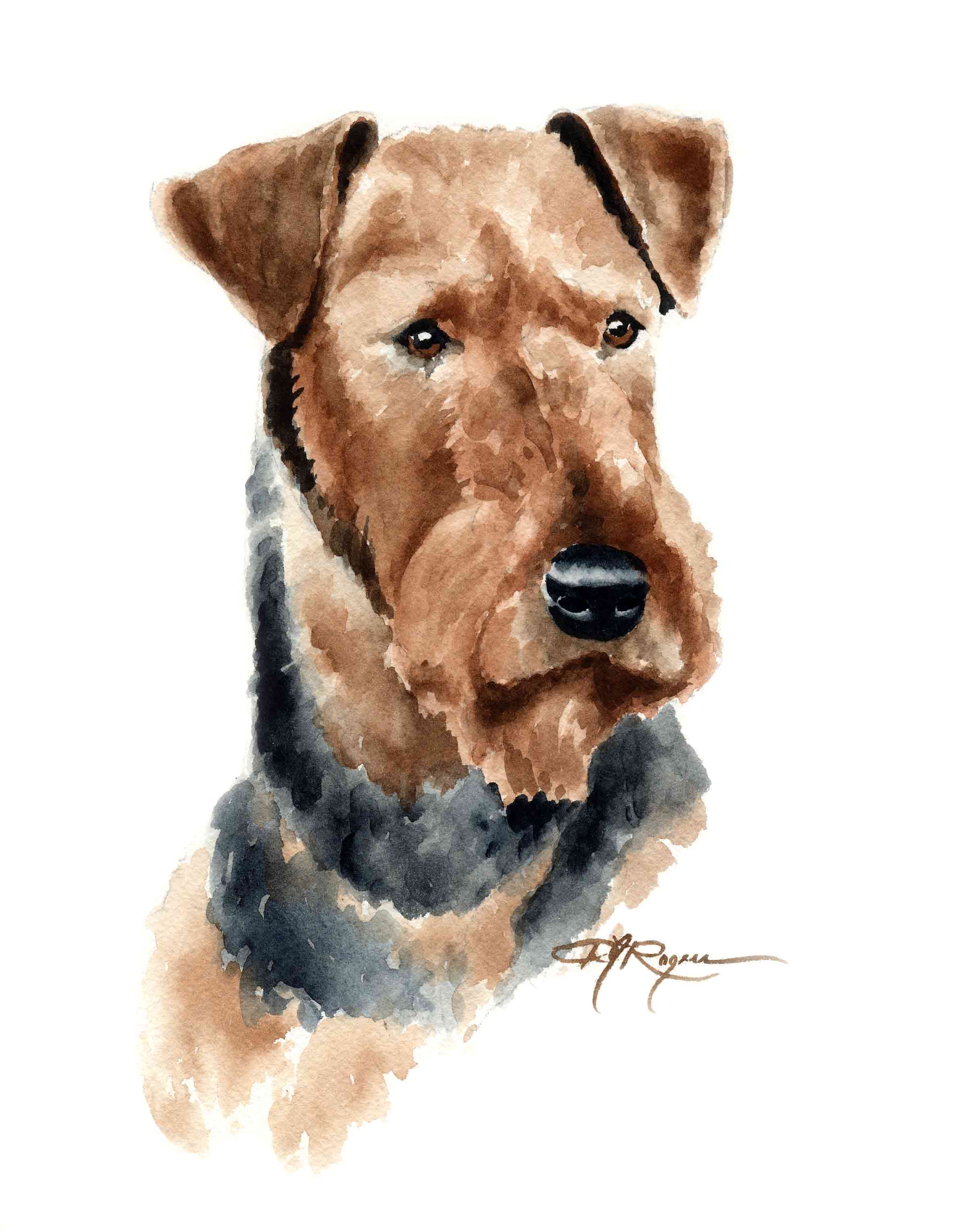 Airedale Terrier Traditional Watercolor Art Print by Artist DJ Rogers