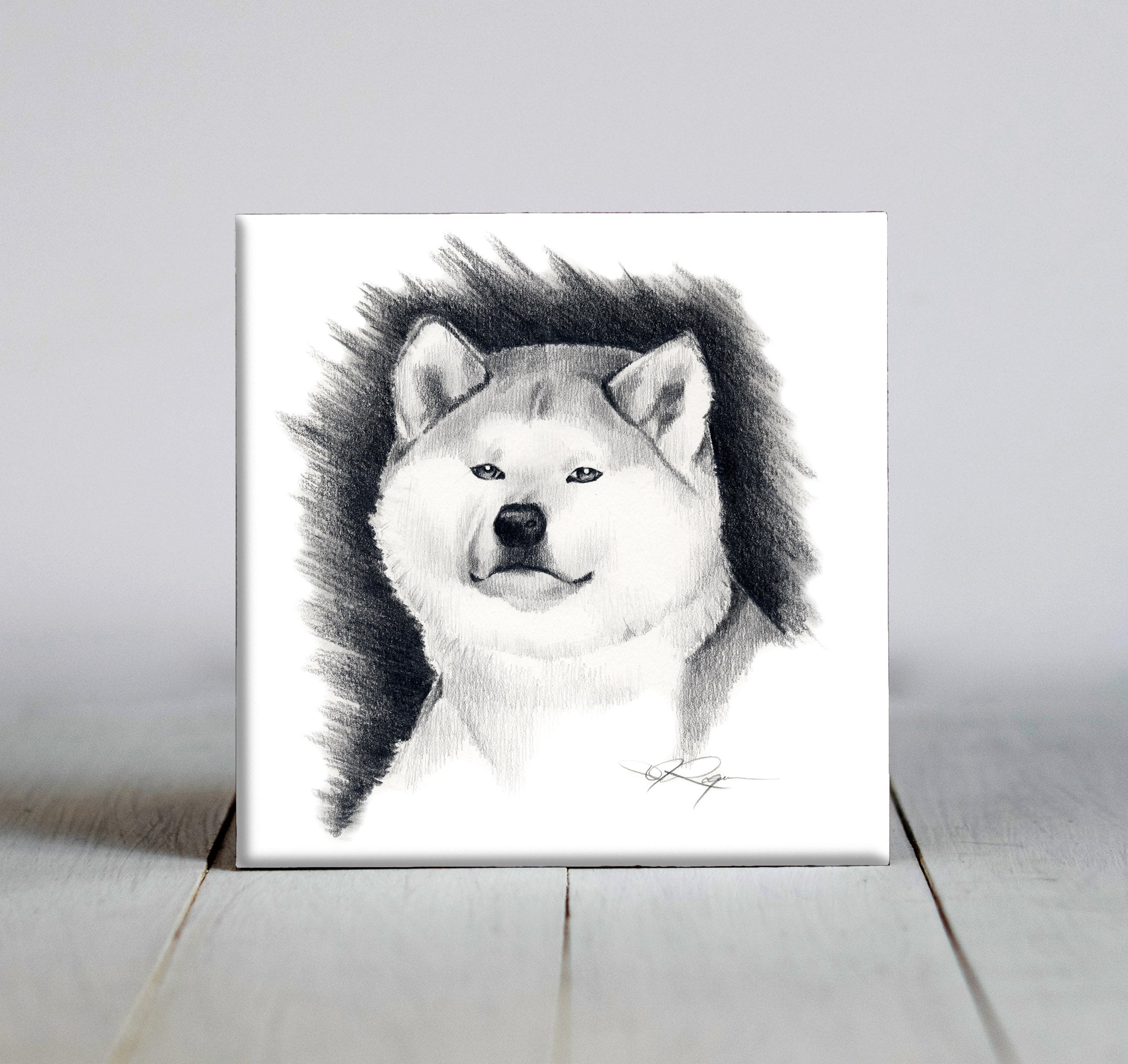 Akita Pencil Dog Art Decorative Tile by Artist DJ Rogers