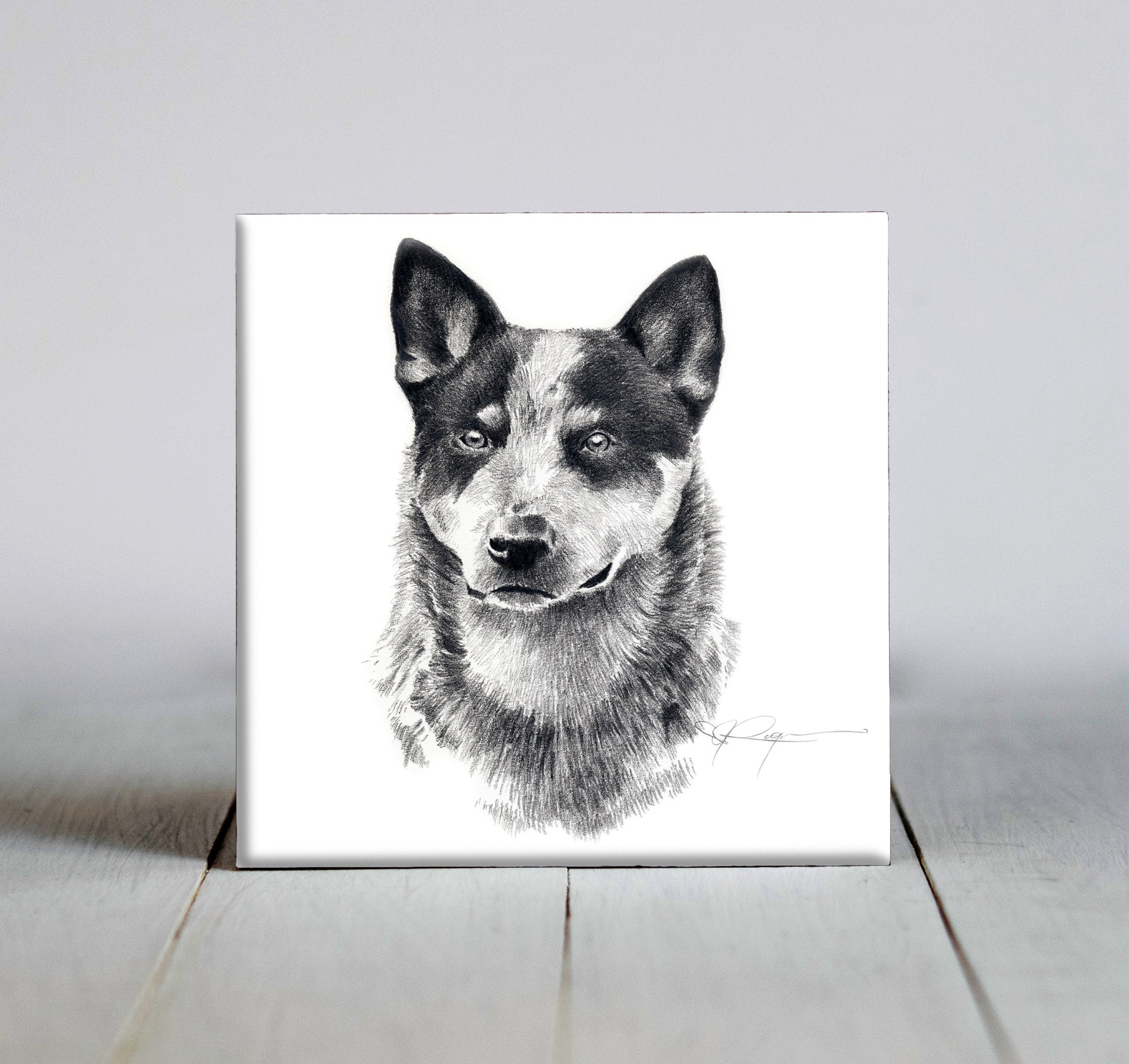 Australian Cattle Dog Pencil Dog Art Decorative Tile by Artist DJ Rogers