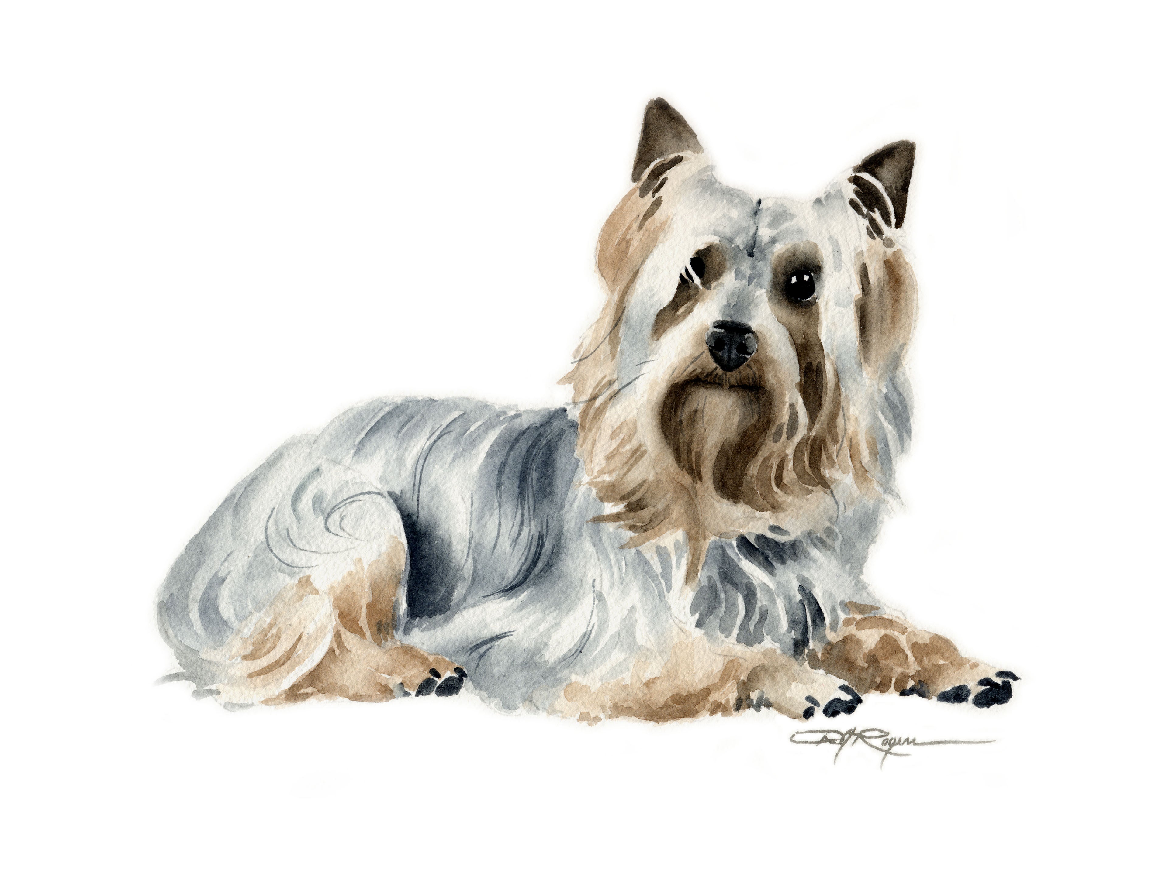 Australian Silky Terrier Traditional Watercolor Dog Art Print by Artist DJ Rogers