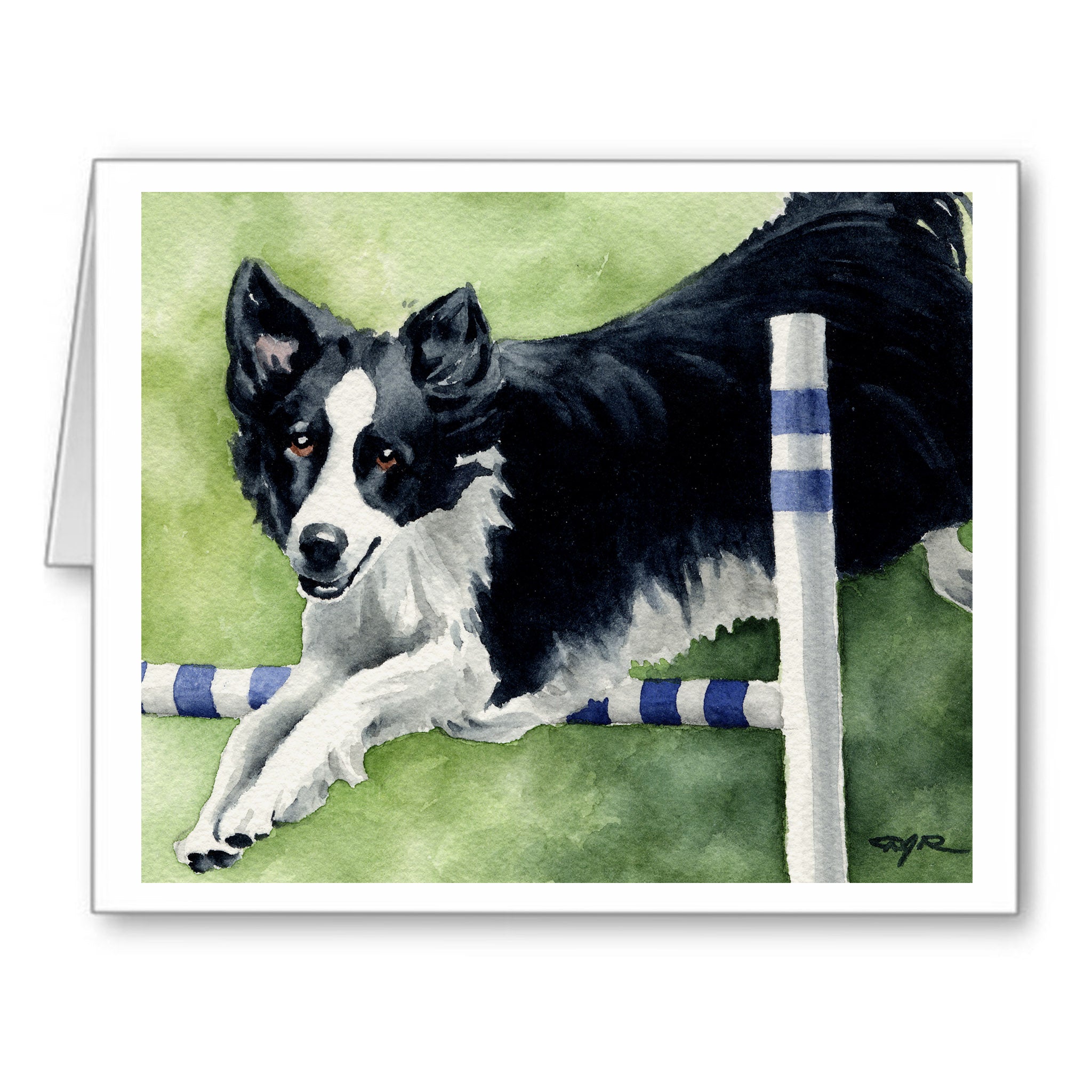 Border Collie Watercolor Note Card Art by Artist DJ Rogers