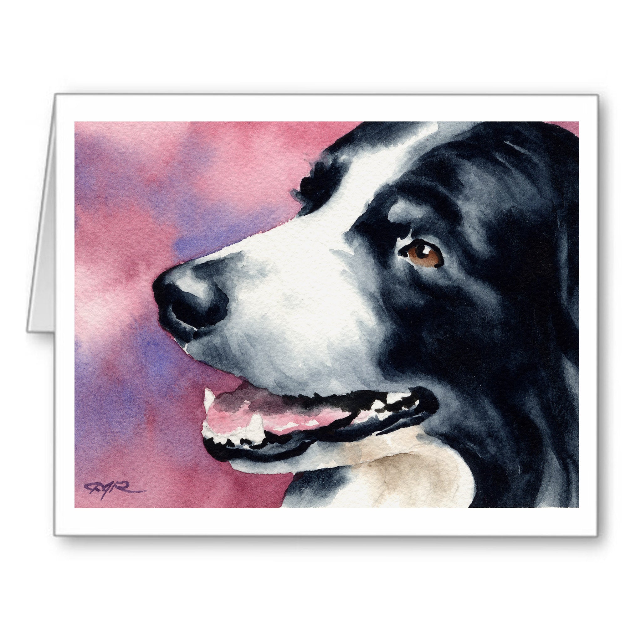 Border Collie Watercolor Note Card Art by Artist DJ Rogers