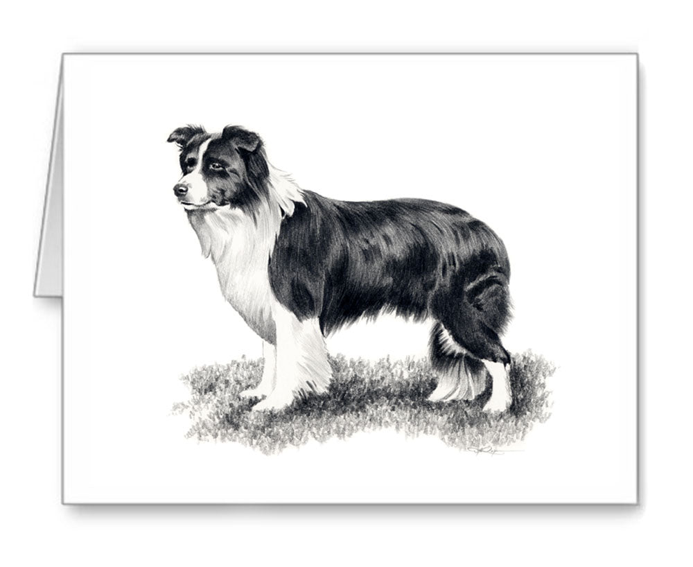 Border Collie Pencil Note Card Art by Artist DJ Rogers
