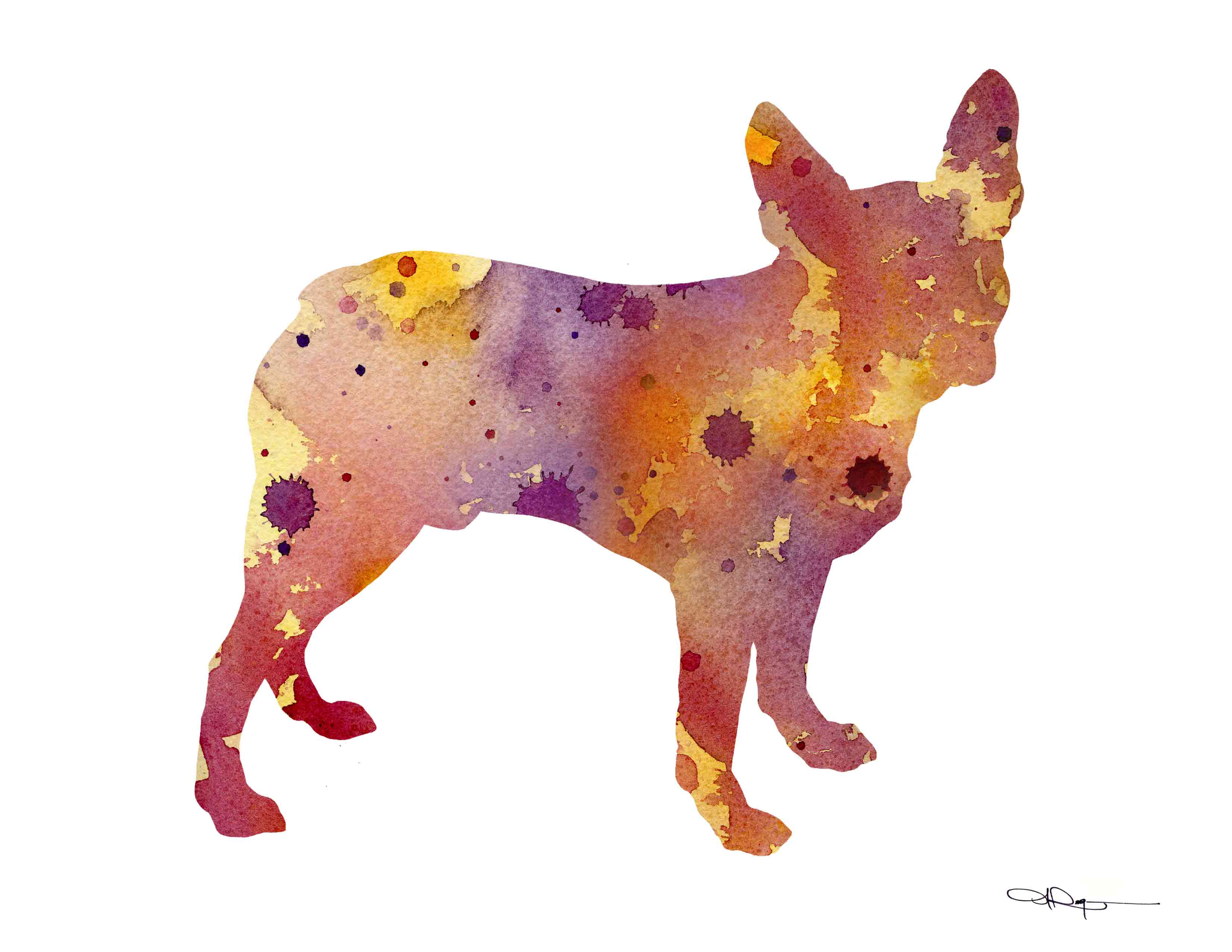Boston Terrier Abstract Watercolor Art Print by Artist DJ Rogers