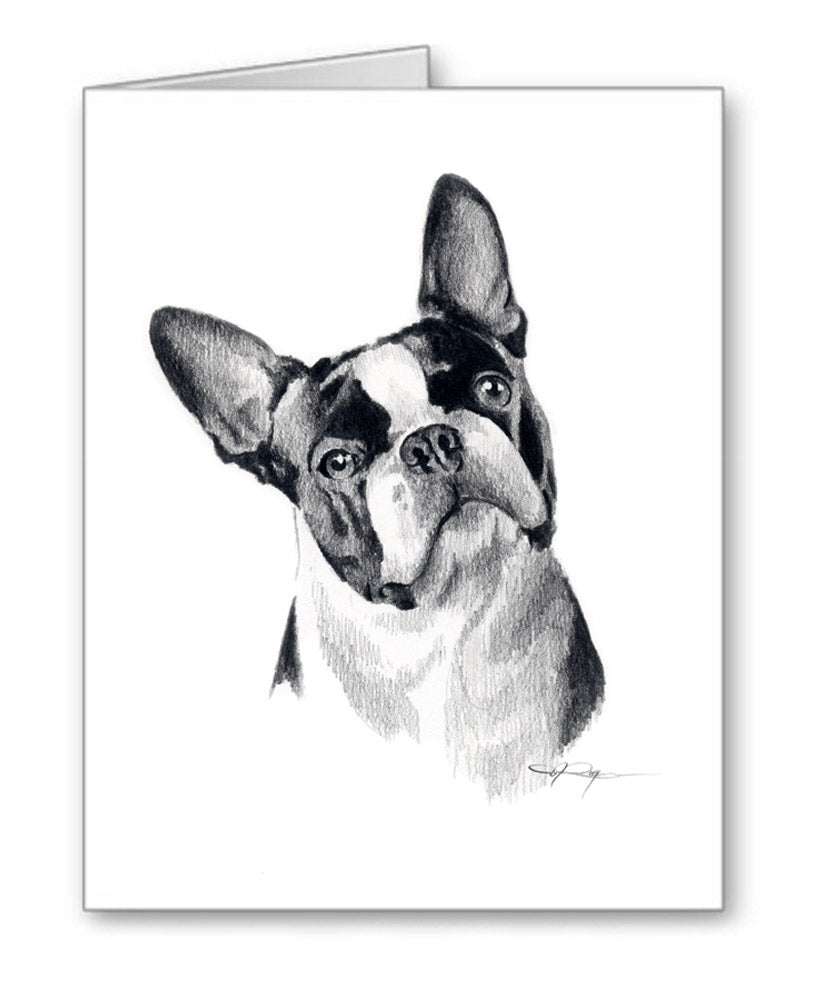 Boston Terrier Pencil Note Card Art by Artist DJ Rogers