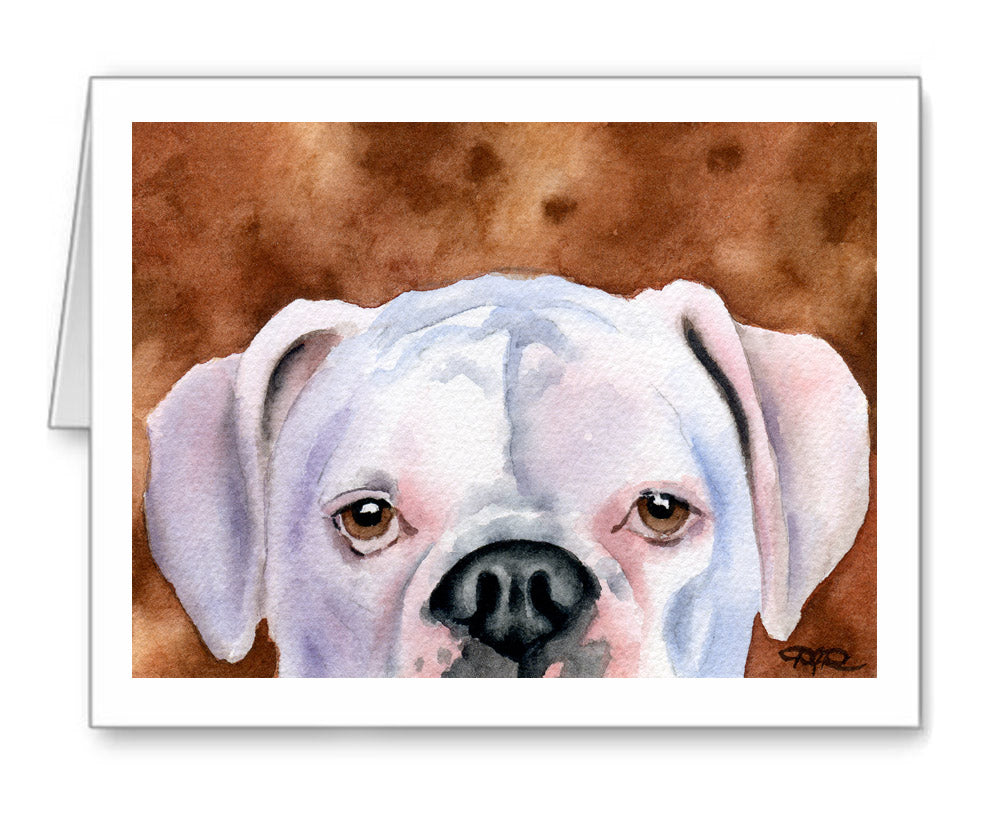 White Boxer Watercolor Note Card Art by Artist DJ Rogers