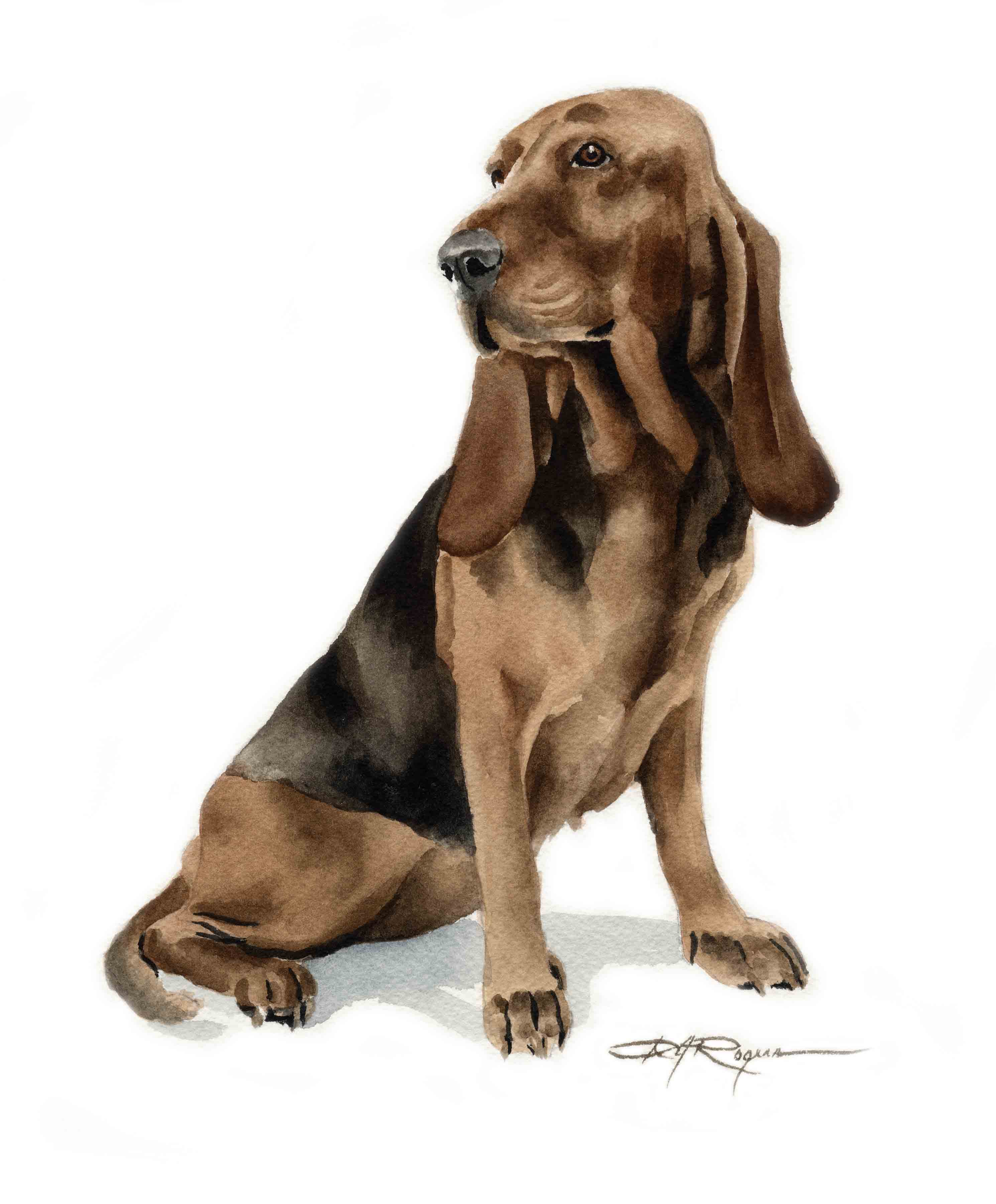 Bruno Jura Hound Traditional Watercolor Dog Art Print by Artist DJ Rogers
