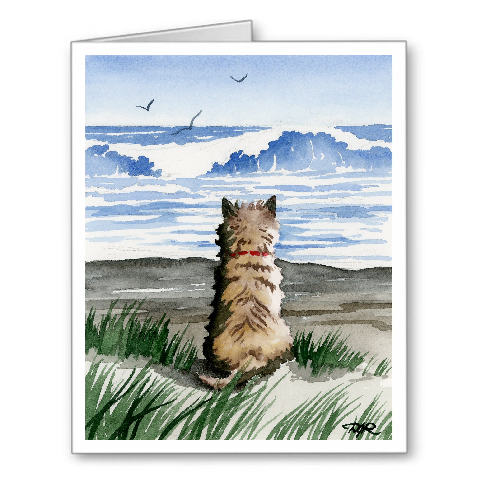 Cairn Terrier Watercolor Note Card Art by Artist DJ Rogers