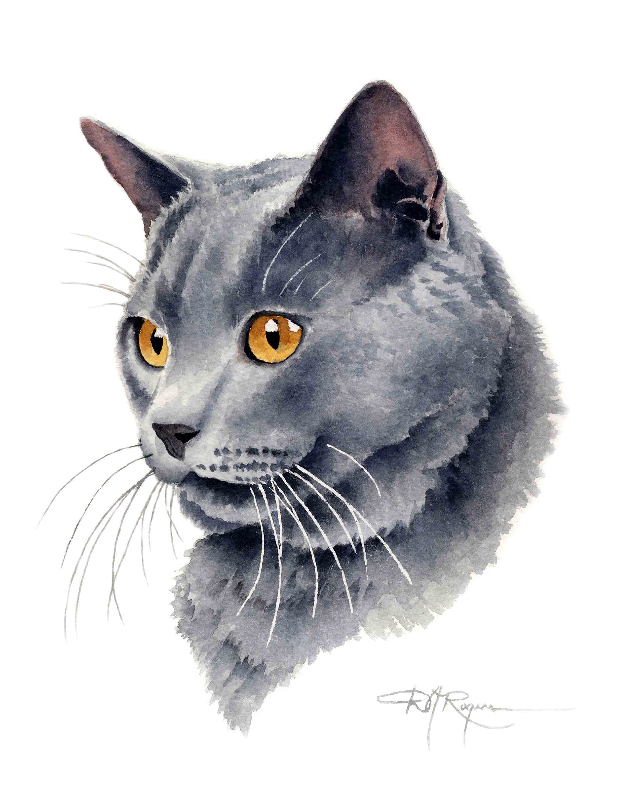 Grey Cat Traditional Watercolor Cat Art Print by Artist DJ Rogers