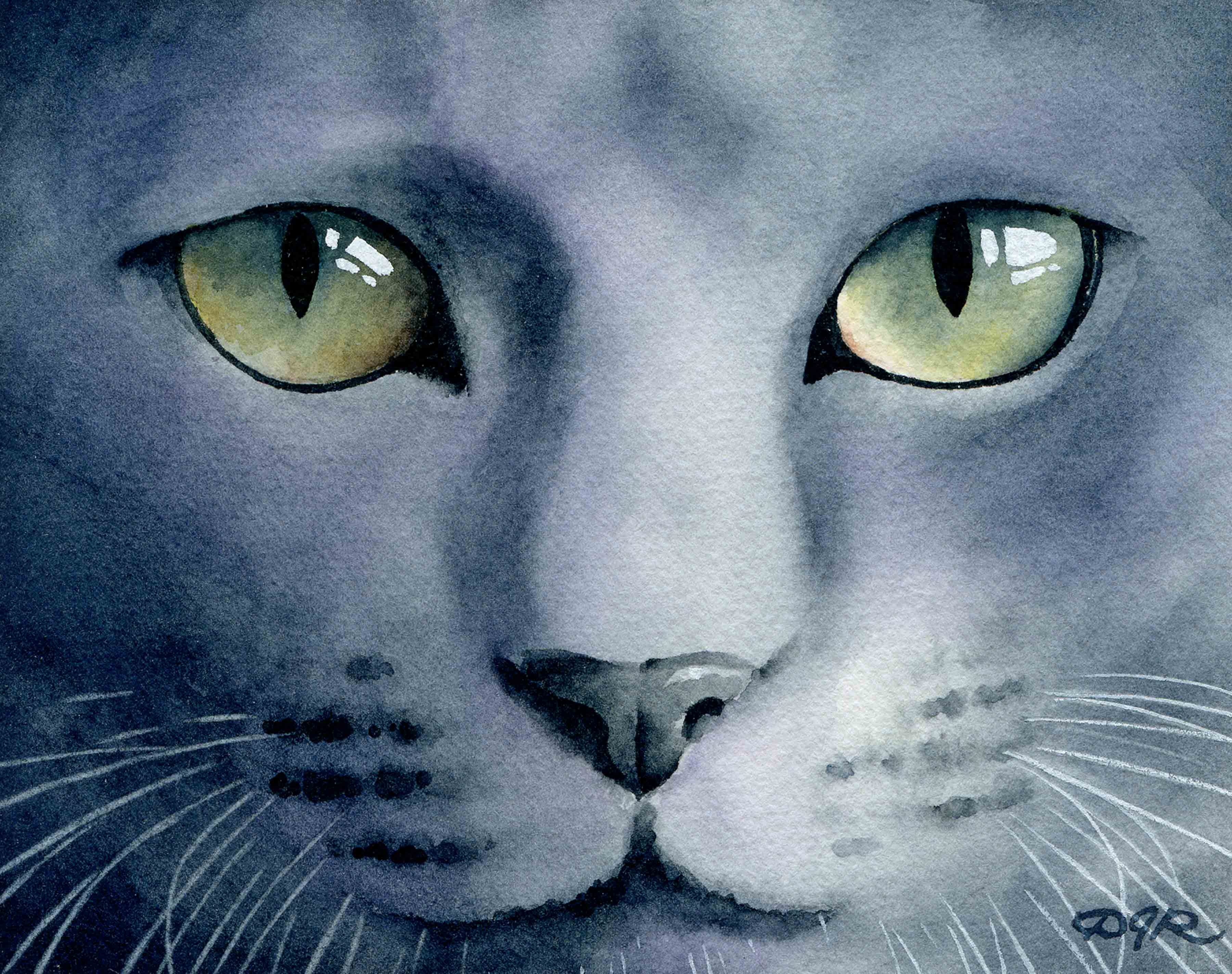 Grey Cat Contemporary Watercolor Cat Art Print by Artist DJ Rogers
