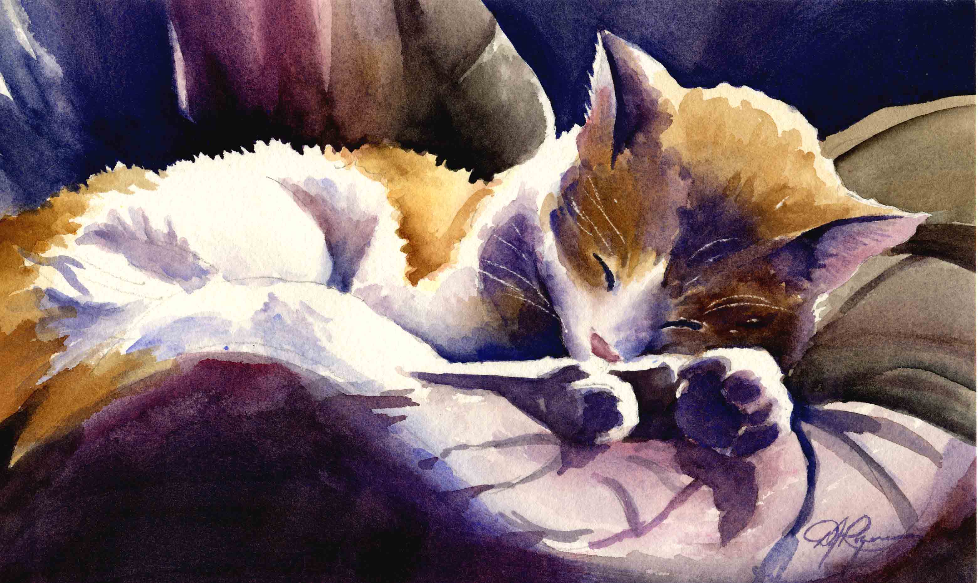 Cat Nap Contemporary Watercolor Cat Art Print by Artist DJ Rogers