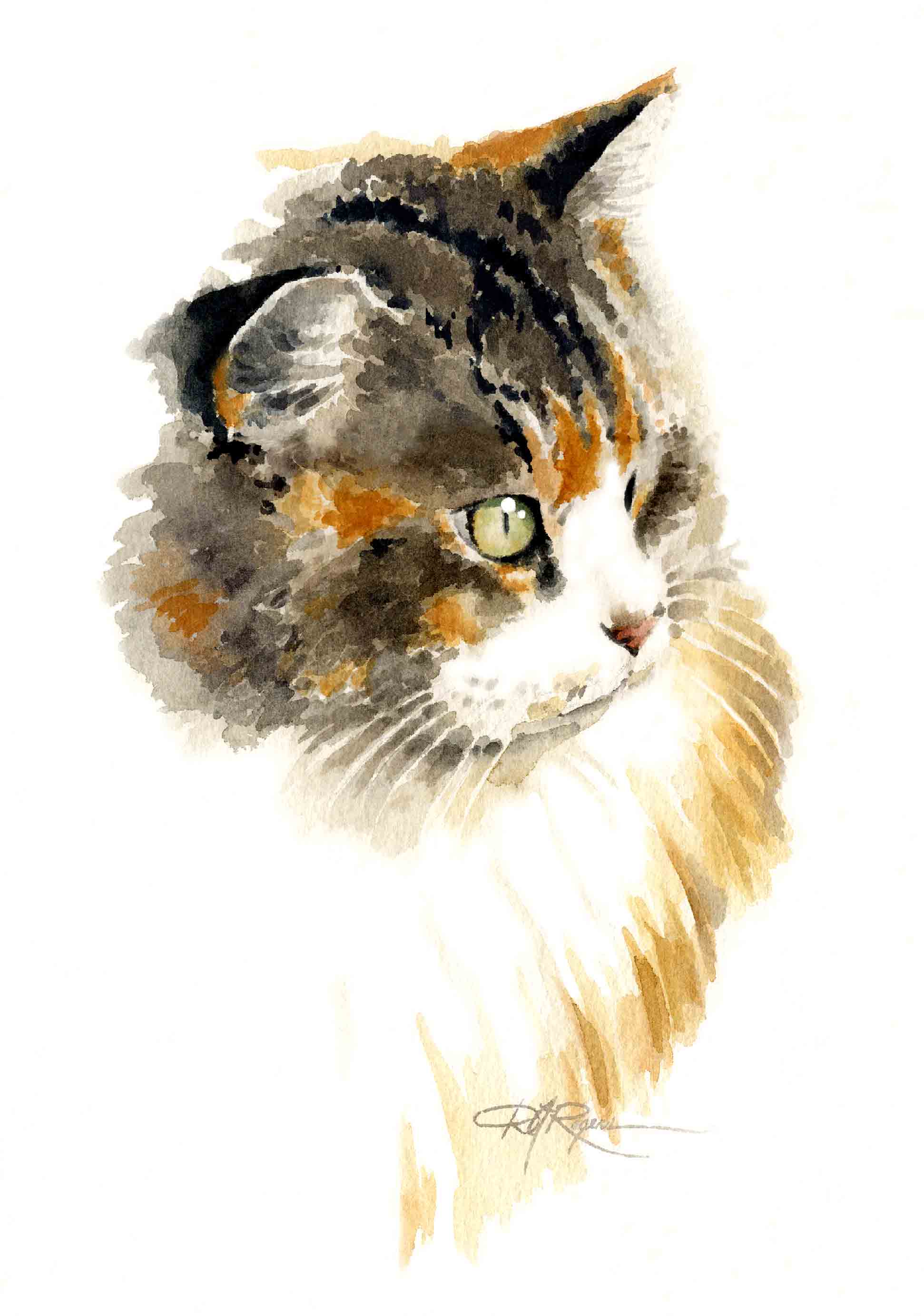 Cat Traditional Watercolor Cat Art Print by Artist DJ Rogers