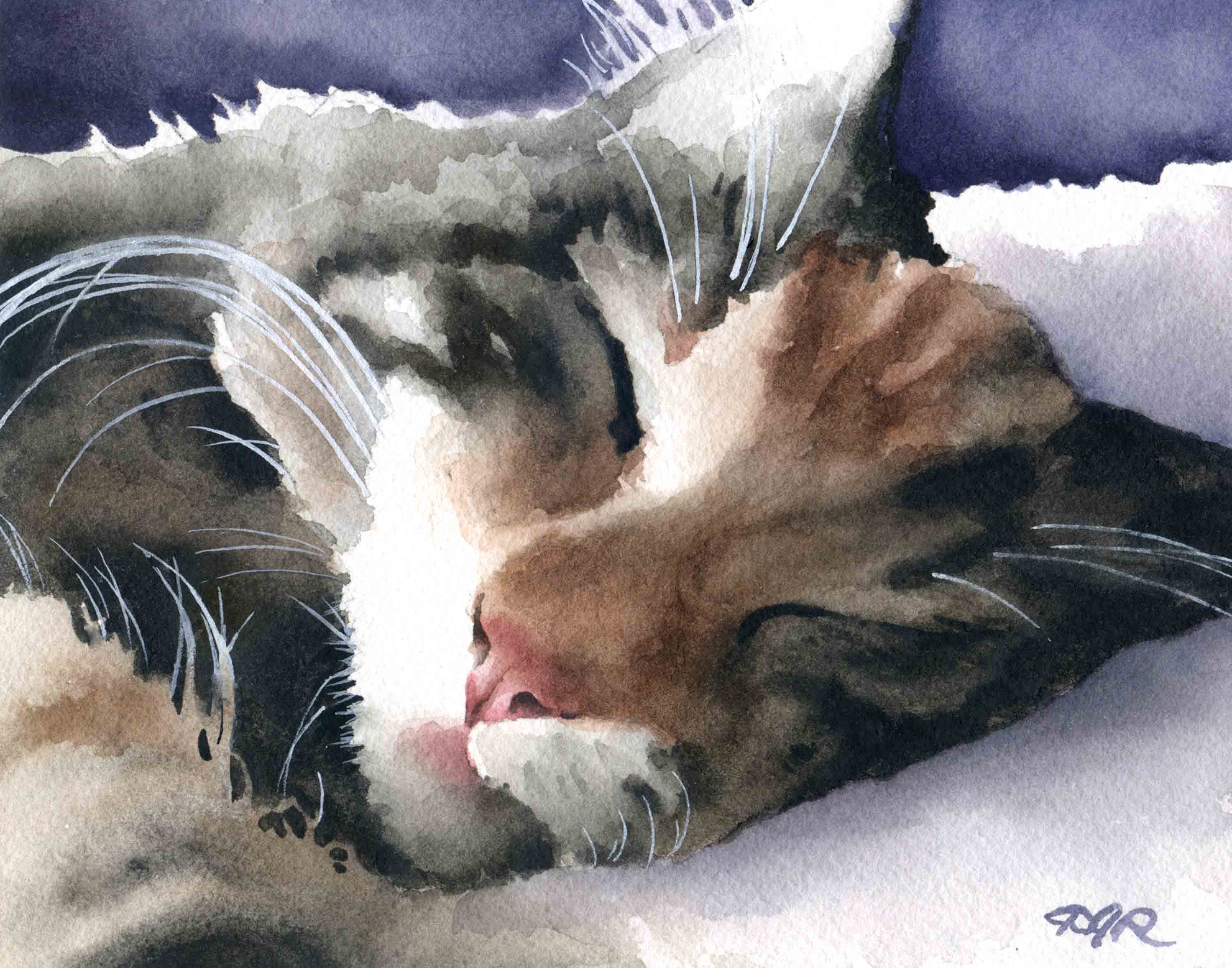 Cat Nap Contemporary Watercolor Cat Art Print by Artist DJ Rogers