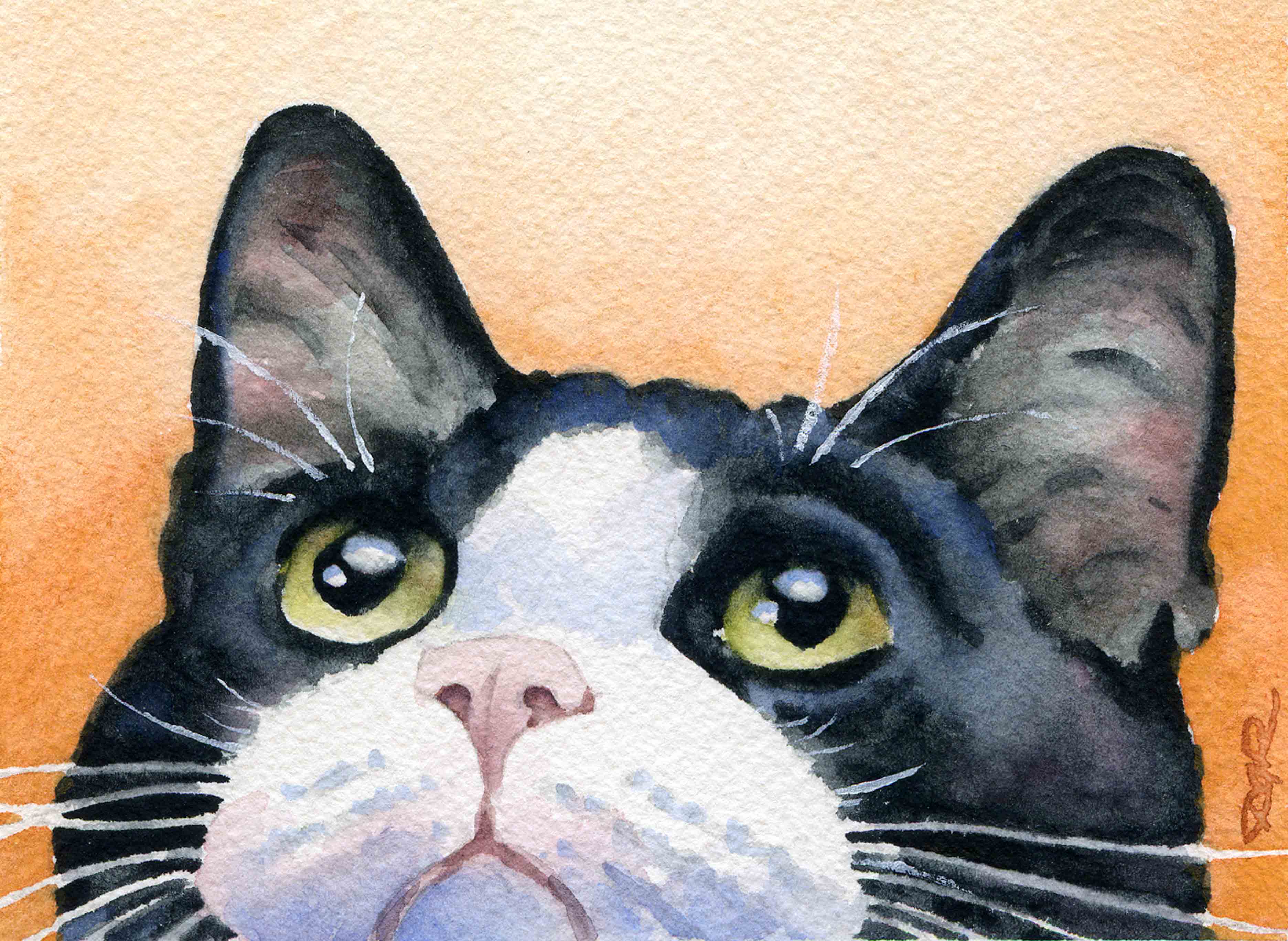 Tuxedo Cat Contemporary Watercolor Cat Art Print by Artist DJ Rogers
