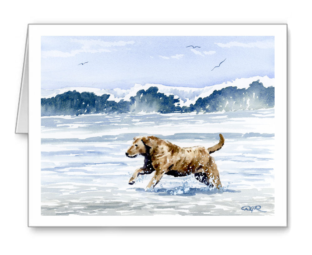 Chesapeake Bay Retriever Watercolor Note Card Art by Artist DJ Rogers