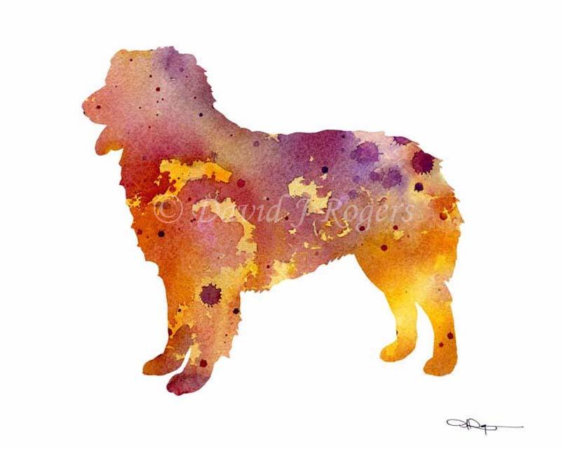Australian Shepherd Abstract Watercolor Art Print by Artist DJ Rogers