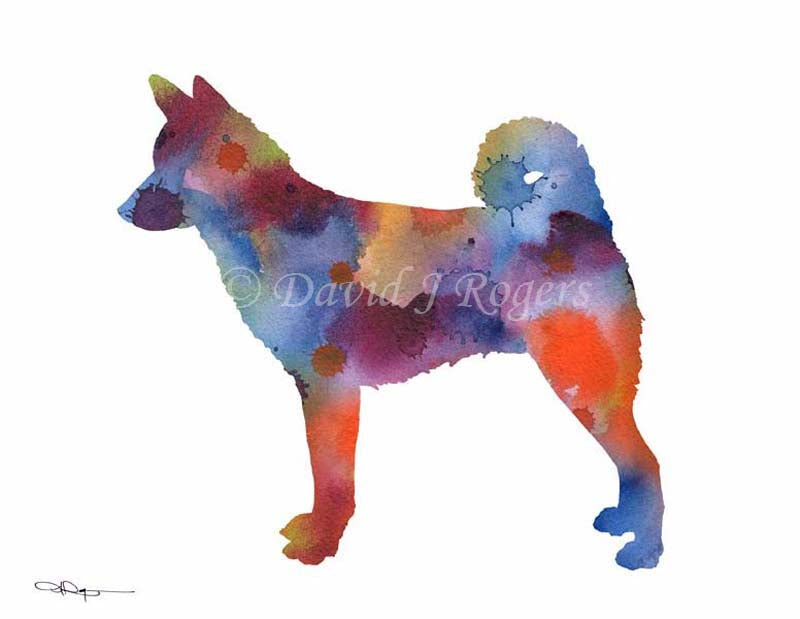 A Canaan Dog 0 print based on a David J Rogers original watercolor