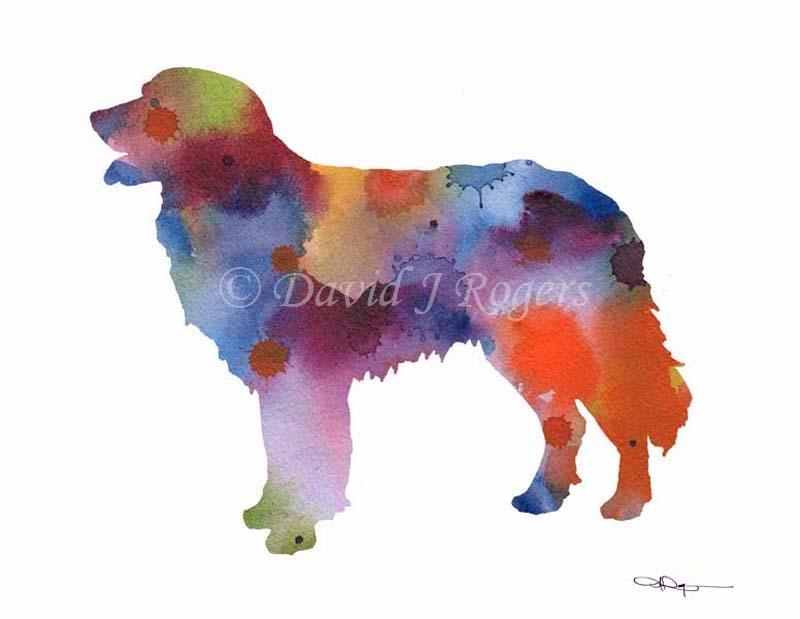 Hovawart Abstract Watercolor Art Print by Artist DJ Rogers