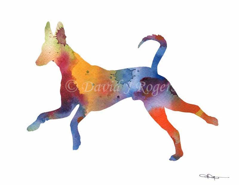 Ibizan Hound Abstract Watercolor Art Print by Artist DJ Rogers
