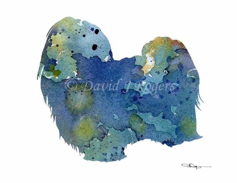 Maltese Abstract Watercolor Art Print by Artist DJ Rogers