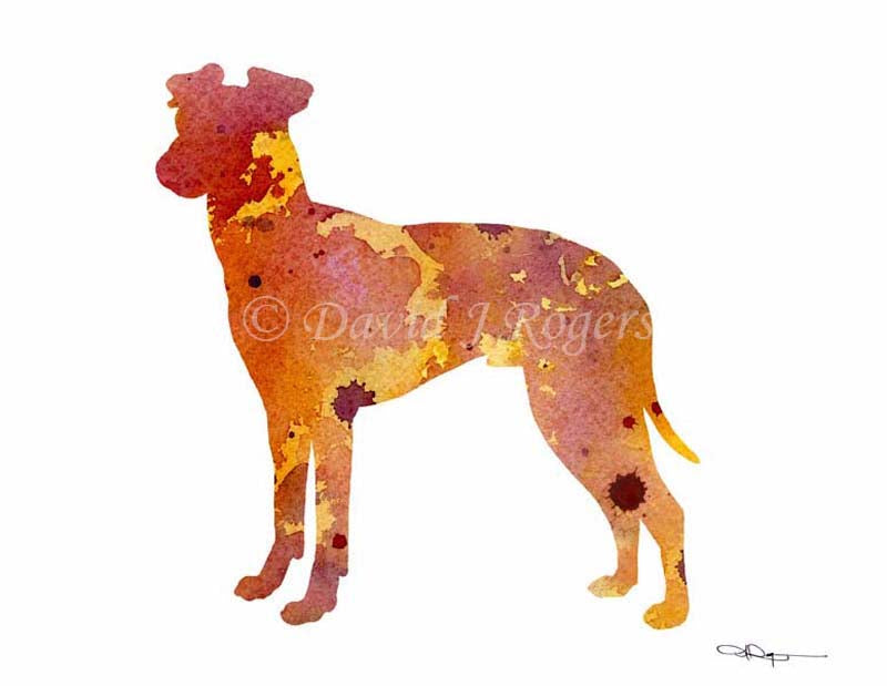 Manchester Terrier Abstract Watercolor Art Print by Artist DJ Rogers
