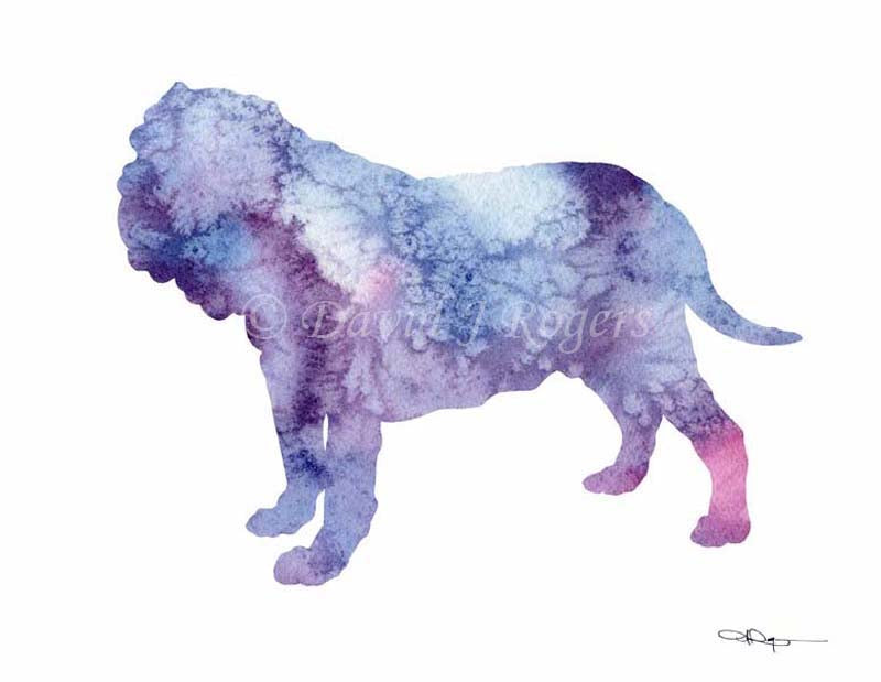 A Neopolitan Mastiff 0 print based on a David J Rogers original watercolor