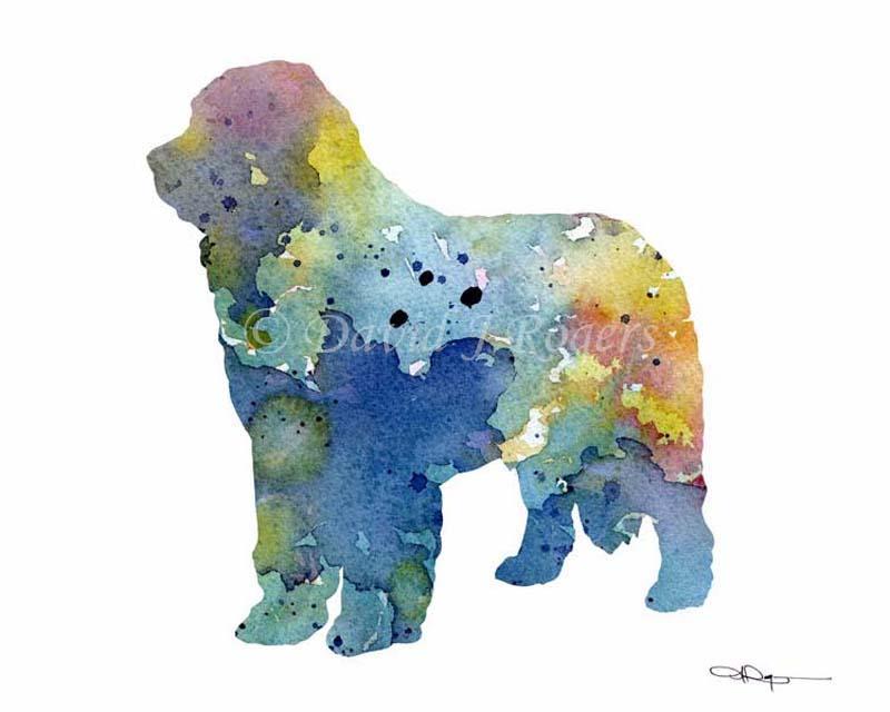 Newfoundland Abstract Watercolor Art Print by Artist DJ Rogers
