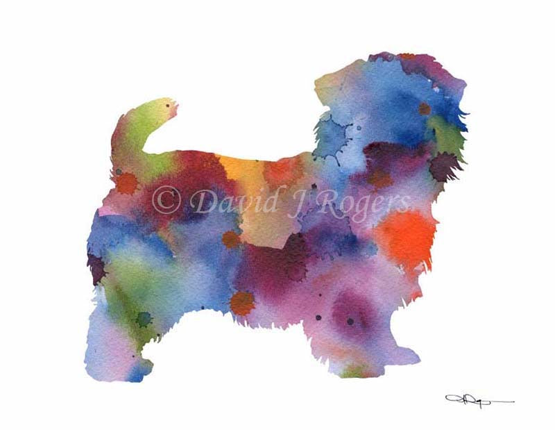 A Norfolk Terrier 0 print based on a David J Rogers original watercolor
