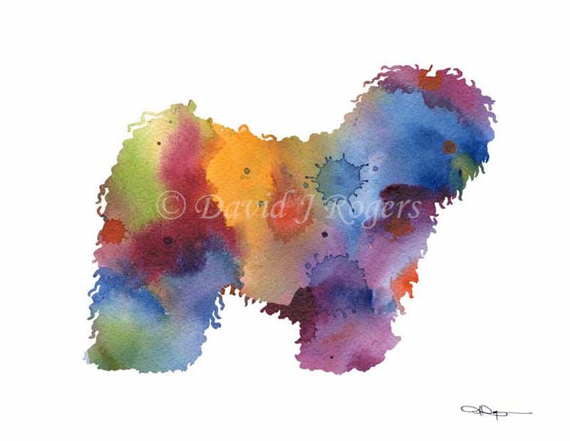 A Puli 0 print based on a David J Rogers original watercolor