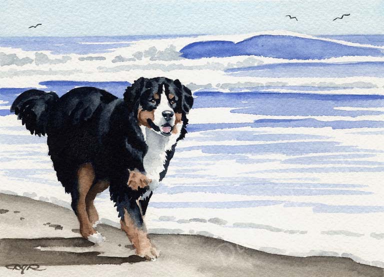 Bernese Mountain Dog Wall Art Print Poster Picture Painting Room Decor