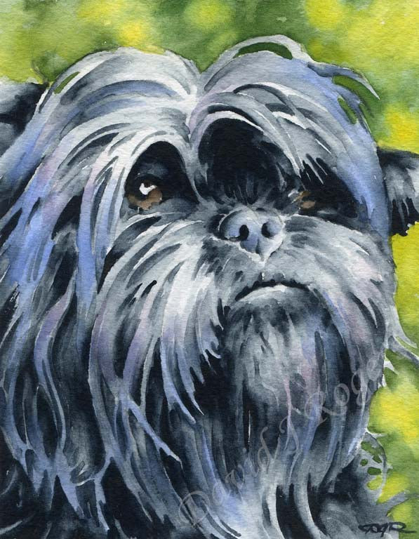 Affenpinscher Dog Wall Art Print Poster Picture Painting Bedroom Room