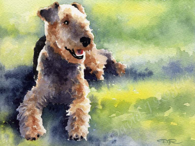 Airedale Terrier Dog Wall Art Print Poster Picture Painting Bedroom