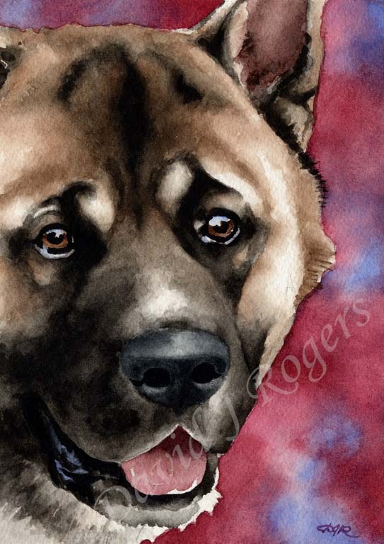 Akita Dog Wall Art Print Poster Picture Painting Bedroom Room Decor
