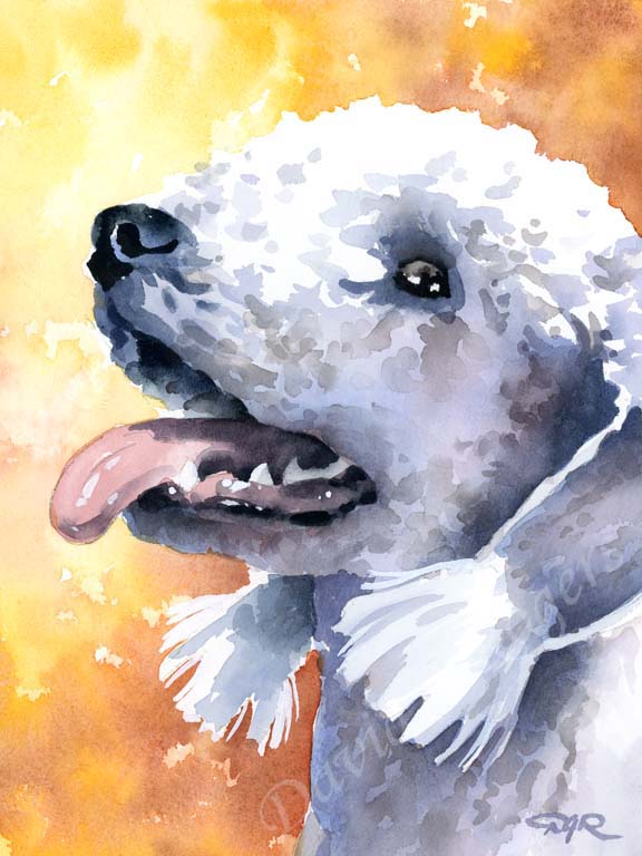 Bedlington Terrier Dog Wall Art Print Poster Picture Painting Decor