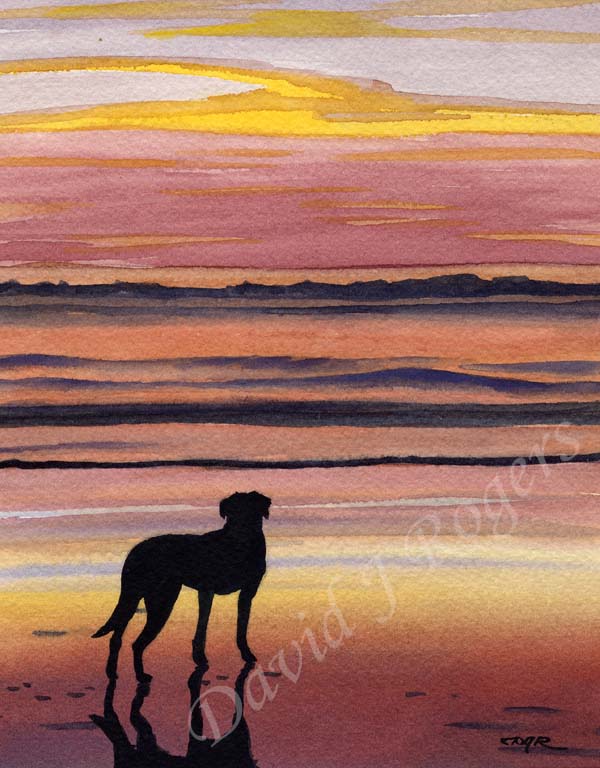 Black Labrador Lab Dog Wall Art Print Poster Picture Painting Decor