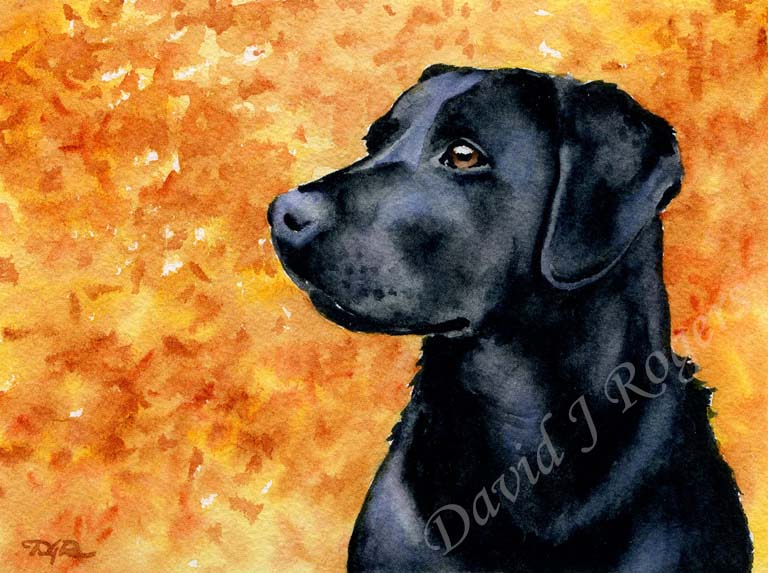 Black Labrador Lab Dog Wall Art Print Poster Picture Painting Decor