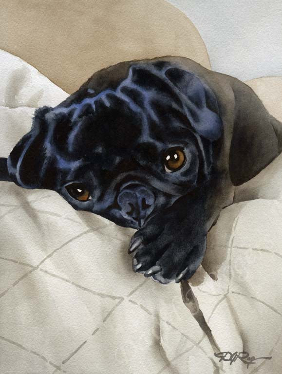 Black Pug Dog Wall Art Print Poster Picture Painting Living Room Decor
